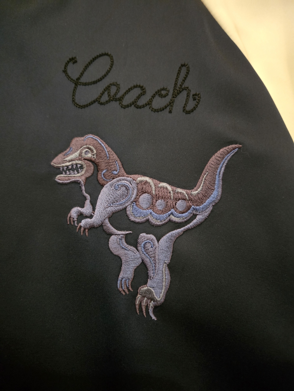 Archival - Limited Edition 2019 Coach "Rexy" Varcity Jacket - Picture 12 of 16